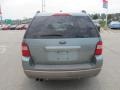 Titanium Green Metallic - Freestyle SEL AWD Photo No. 5