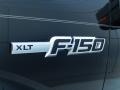 2011 Tuxedo Black Metallic Ford F150 XLT SuperCab  photo #9