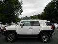 Iceberg White - FJ Cruiser 4WD Photo No. 2