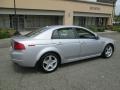 Satin Silver Metallic - TL 3.2 Photo No. 8