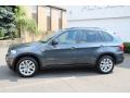 Platinum Gray Metallic - X5 xDrive 35i Photo No. 8