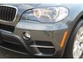 Platinum Gray Metallic - X5 xDrive 35i Photo No. 31