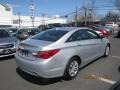 Radiant Silver - Sonata GLS Photo No. 6