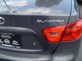 2009 Carbon Gray Hyundai Elantra GLS Sedan  photo #7
