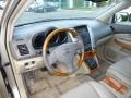 Savannah Beige Metallic - RX 330 Photo No. 15