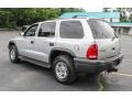 Bright Silver Metallic - Durango SXT 4x4 Photo No. 4