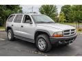 Bright Silver Metallic - Durango SXT 4x4 Photo No. 8