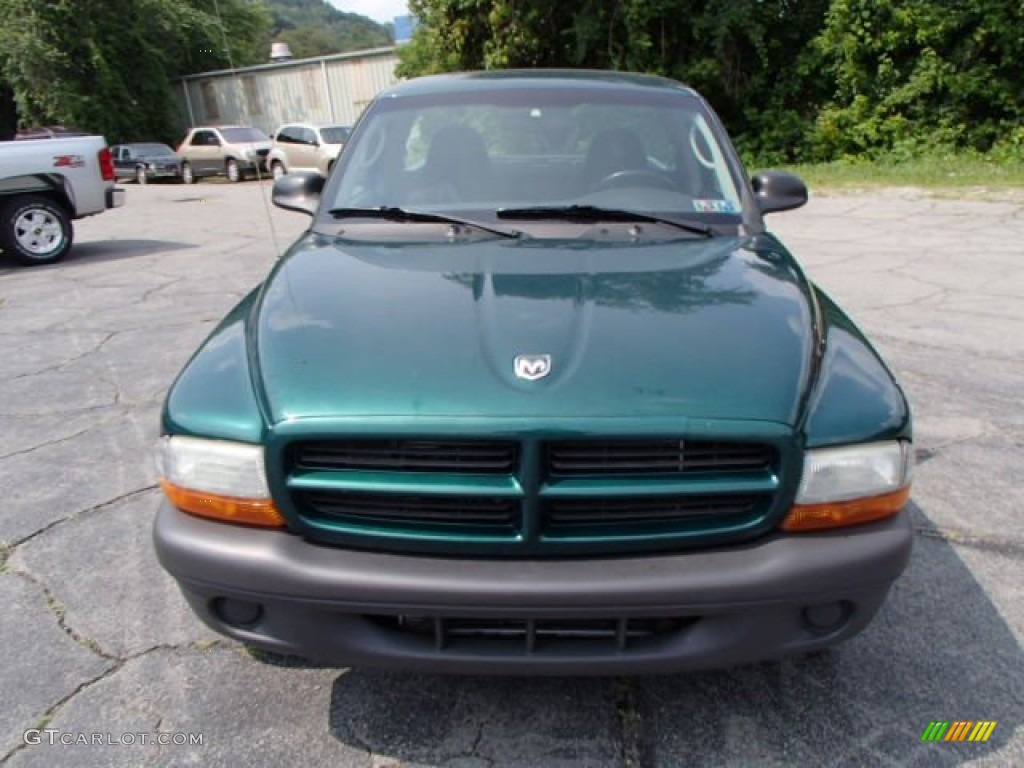 2003 Dakota SXT Regular Cab - Timberline Green Pearl / Dark Slate Gray photo #3