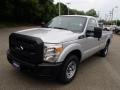 Ingot Silver Metallic - F250 Super Duty XL Regular Cab Photo No. 4