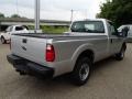 Ingot Silver Metallic - F250 Super Duty XL Regular Cab Photo No. 8