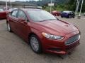 Sunset 2014 Ford Fusion SE Exterior