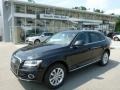 Phantom Black Pearl - Q5 2.0 TFSI quattro Photo No. 1