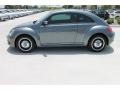 Platinum Gray Metallic - Beetle 2.5L Photo No. 5