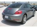 Platinum Gray Metallic - Beetle 2.5L Photo No. 9