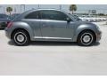 Platinum Gray Metallic - Beetle 2.5L Photo No. 11