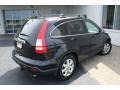 Nighthawk Black Pearl - CR-V EX-L Photo No. 4