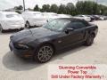 Black - Mustang GT Premium Convertible Photo No. 7