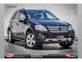 Black - ML 350 Photo No. 1