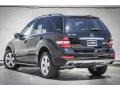 Black - ML 350 Photo No. 3