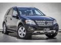 Black - ML 350 Photo No. 12