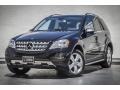 Black - ML 350 Photo No. 13