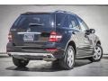 Black - ML 350 Photo No. 14