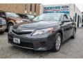 Magnetic Gray Metallic 2010 Toyota Camry Hybrid