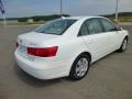 Powder White Pearl - Sonata GLS Photo No. 7
