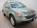 2008 Green Tea Metallic Honda CR-V EX-L 4WD  photo #1