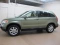 2008 Green Tea Metallic Honda CR-V EX-L 4WD  photo #5