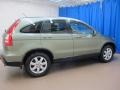 2008 Green Tea Metallic Honda CR-V EX-L 4WD  photo #10