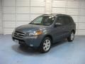 2007 Steel Gray Hyundai Santa Fe Limited  photo #3