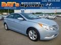 Iridescent Silver Blue Pearl - Sonata Limited Photo No. 1
