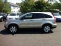 2007 Borrego Beige Metallic Honda CR-V EX 4WD  photo #4