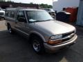Light Pewter Metallic 2001 Chevrolet S10 LS Regular Cab