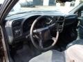 Light Pewter Metallic - S10 LS Regular Cab Photo No. 10