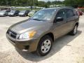 Pyrite Metallic - RAV4 I4 4WD Photo No. 3