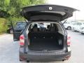 Dark Gray Metallic - Forester 2.0XT Premium Photo No. 11