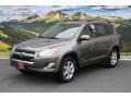 Pyrite Metallic - RAV4 Limited V6 4WD Photo No. 5