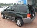 2002 Dark Highland Green Metallic Ford Escape XLT V6  photo #2