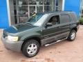 Dark Highland Green Metallic 2002 Ford Escape XLT V6 Exterior