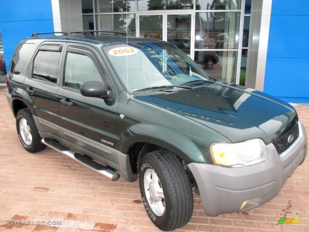 2002 Escape XLT V6 - Dark Highland Green Metallic / Medium Parchment photo #10