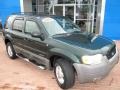 2002 Dark Highland Green Metallic Ford Escape XLT V6  photo #10