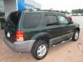 2002 Dark Highland Green Metallic Ford Escape XLT V6  photo #11