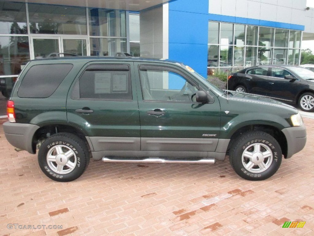 2002 Escape XLT V6 - Dark Highland Green Metallic / Medium Parchment photo #12
