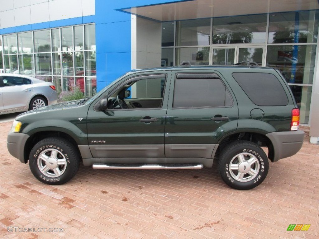 2002 Escape XLT V6 - Dark Highland Green Metallic / Medium Parchment photo #13