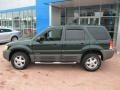 2002 Dark Highland Green Metallic Ford Escape XLT V6  photo #13