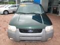 2002 Dark Highland Green Metallic Ford Escape XLT V6  photo #15