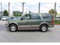 2004 Estate Green Metallic Ford Expedition Eddie Bauer  photo #5