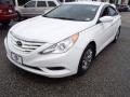 Shimmering White - Sonata GLS Photo No. 1